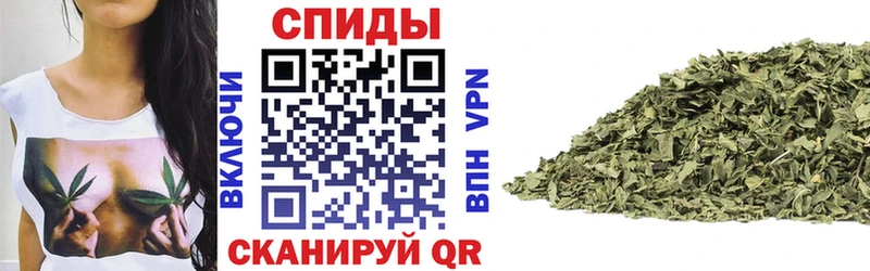 где можно купить   блэк спрут вход  Бутират оксибутират  Петровск 
