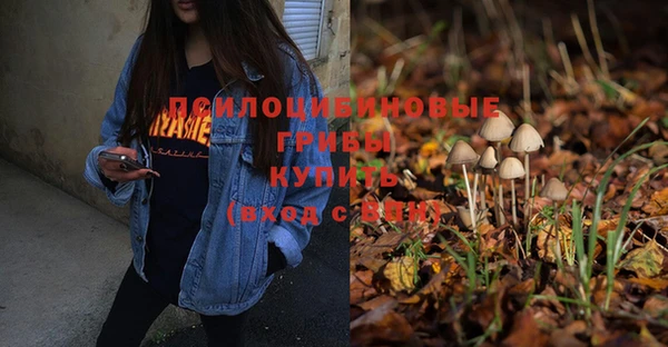 ПСИЛОЦИБИНОВЫЕ ГРИБЫ Алексеевка