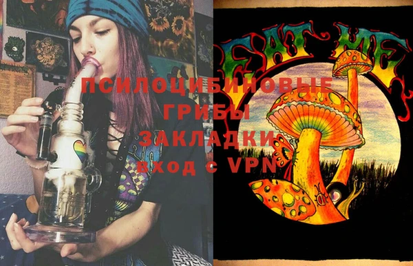 ПСИЛОЦИБИНОВЫЕ ГРИБЫ Алексеевка